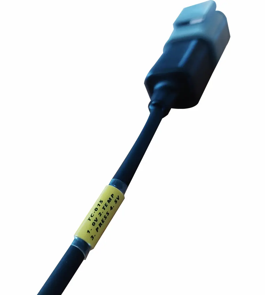 POTTED COMBO CLOSE.webp