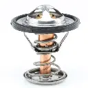 THERMOSTAT HIGH FLOW - LATE VE+