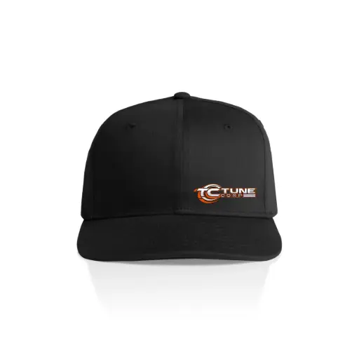 TUNE CORP FLEX FIT HAT